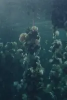 Poster Concrete Turned to Sand