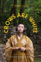 Poster Crows Are White